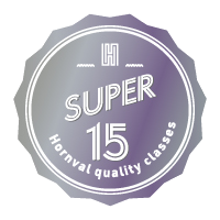 Quality 15years